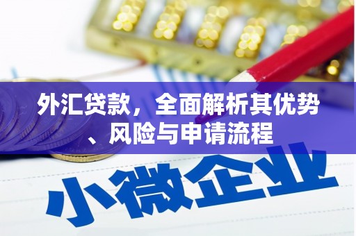 独山子外汇贷款，全面解析其优势、风险与申请流程