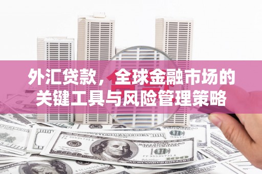 独山子外汇贷款，全球金融市场的关键工具与风险管理策略