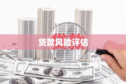 独山子贷款风险评估