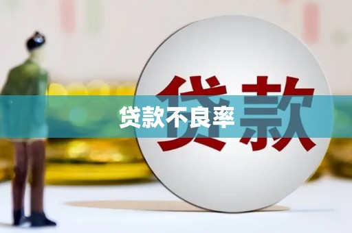 独山子贷款不良率