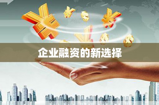 独山子企业融资的新选择