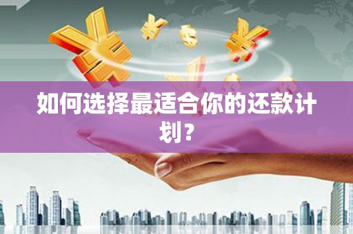 独山子如何选择最适合你的还款计划？