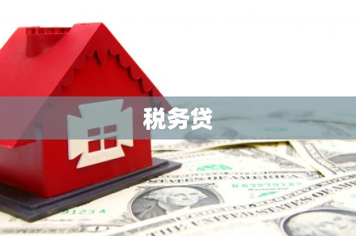 独山子税务贷