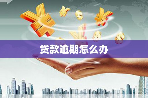 独山子贷款逾期怎么办