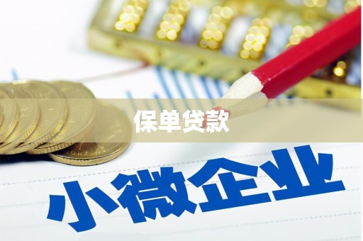 独山子保单贷款