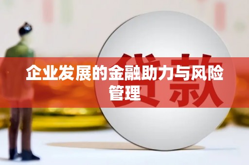 独山子企业发展的金融助力与风险管理