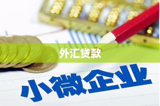 独山子外汇贷款