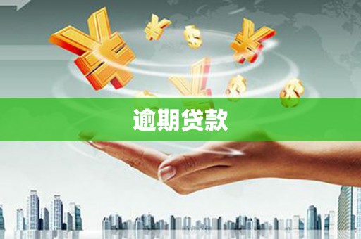 独山子逾期贷款