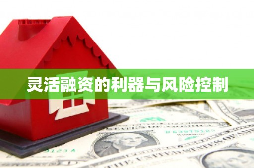 独山子灵活融资的利器与风险控制