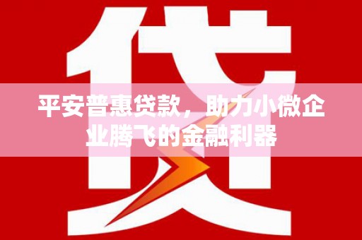 独山子平安普惠贷款，助力小微企业腾飞的金融利器
