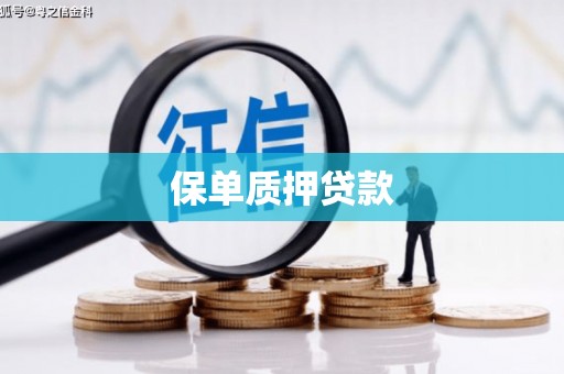 独山子保单质押贷款