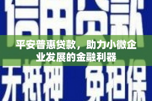 独山子平安普惠贷款，助力小微企业发展的金融利器