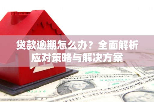 独山子贷款逾期怎么办？全面解析应对策略与解决方案