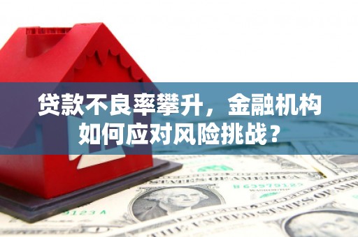 独山子贷款不良率攀升，金融机构如何应对风险挑战？