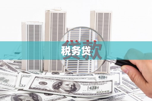 独山子税务贷