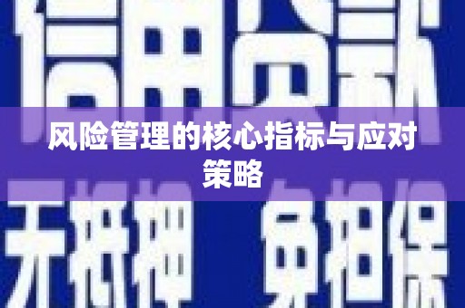 独山子风险管理的核心指标与应对策略