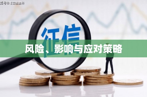 独山子风险、影响与应对策略