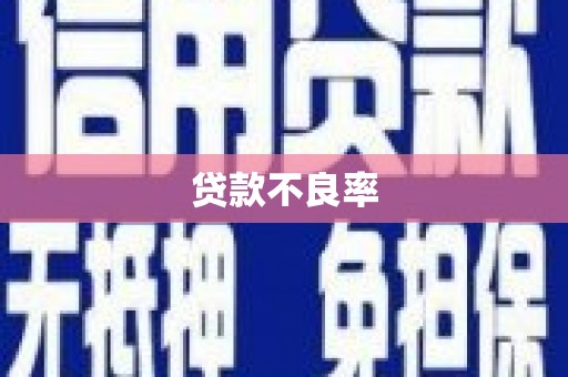 独山子贷款不良率