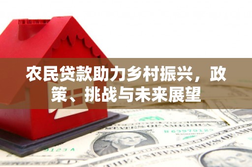 独山子农民贷款助力乡村振兴，政策、挑战与未来展望