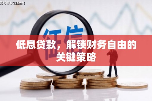 独山子低息贷款，解锁财务自由的关键策略