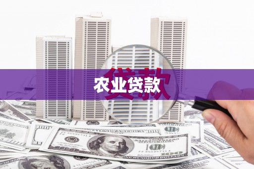 独山子农业贷款