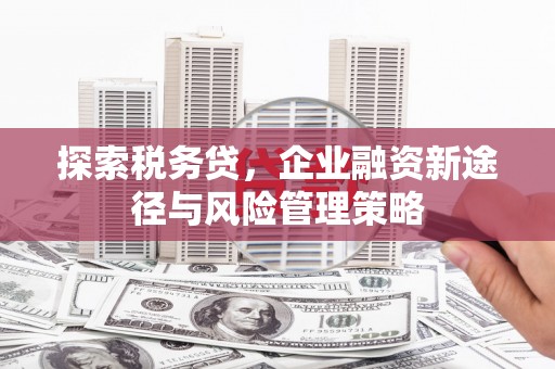 独山子探索税务贷，企业融资新途径与风险管理策略