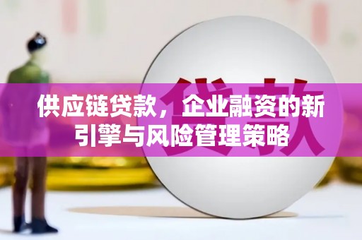 独山子供应链贷款，企业融资的新引擎与风险管理策略