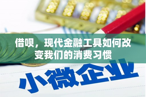 独山子借呗，现代金融工具如何改变我们的消费习惯