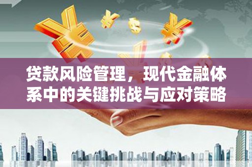 独山子贷款风险管理，现代金融体系中的关键挑战与应对策略