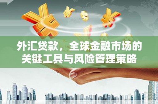 独山子外汇贷款，全球金融市场的关键工具与风险管理策略