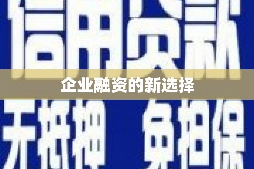 独山子企业融资的新选择