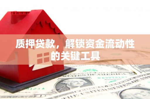 独山子质押贷款，解锁资金流动性的关键工具