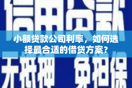 独山子小额贷款公司利率，如何选择最合适的借贷方案？