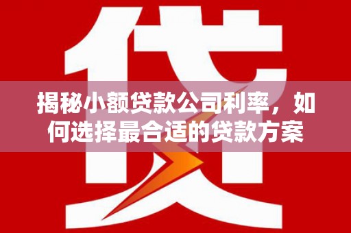 独山子揭秘小额贷款公司利率，如何选择最合适的贷款方案