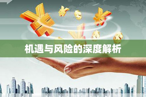 独山子机遇与风险的深度解析