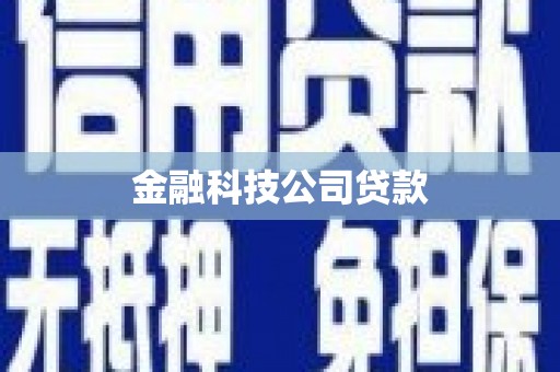 独山子金融科技公司贷款