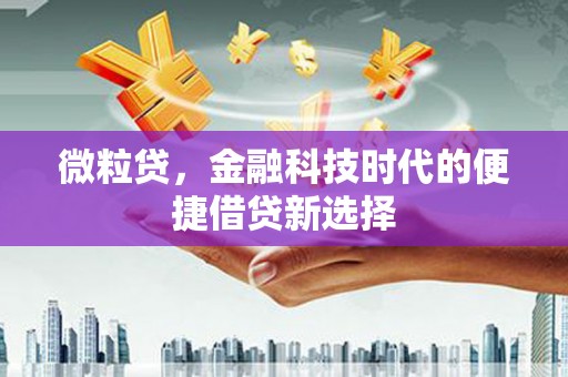 独山子微粒贷，金融科技时代的便捷借贷新选择