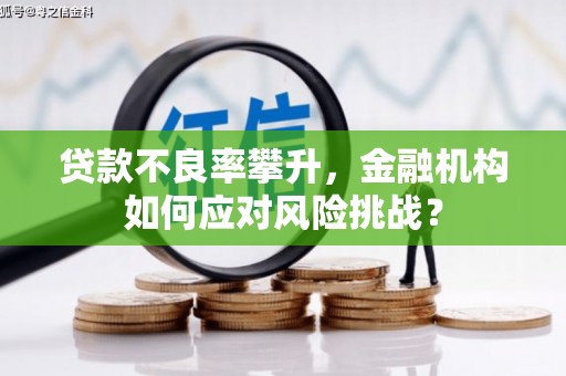 独山子贷款不良率攀升，金融机构如何应对风险挑战？