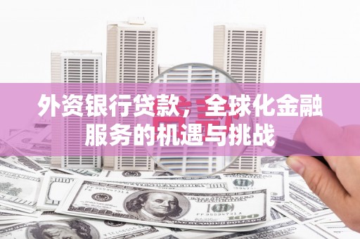 独山子外资银行贷款，全球化金融服务的机遇与挑战
