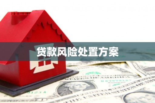 独山子贷款风险处置方案