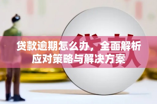独山子贷款逾期怎么办，全面解析应对策略与解决方案