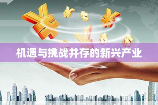独山子机遇与挑战并存的新兴产业
