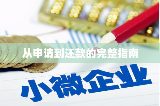 独山子从申请到还款的完整指南