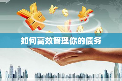独山子如何高效管理你的债务
