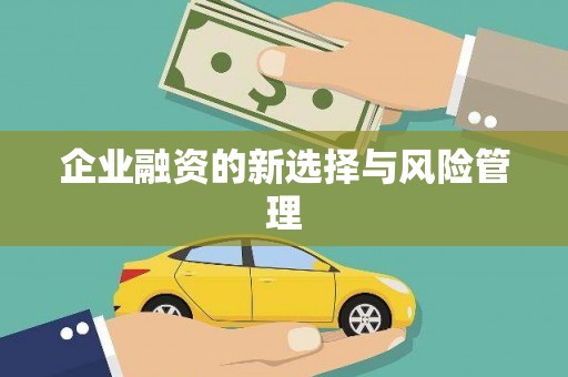 独山子企业融资的新选择与风险管理