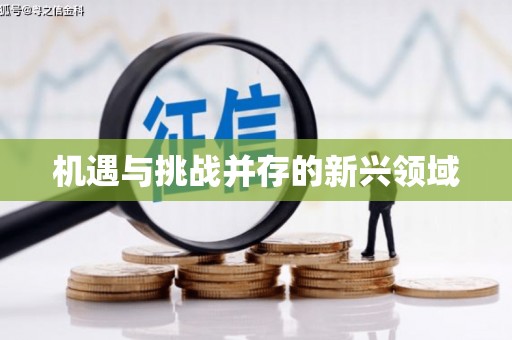 独山子机遇与挑战并存的新兴领域