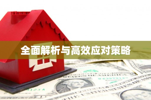 独山子全面解析与高效应对策略