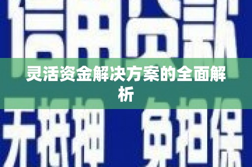 独山子灵活资金解决方案的全面解析